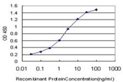 Monoclonal Anti-HBXAP antibody produced in mouse clone 3E6, purified immunoglobulin, buffered aqueous solution