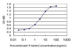 Monoclonal Anti-RASGRP4, (C-terminal) antibody produced in mouse clone 6D3, purified immunoglobulin, buffered aqueous solution