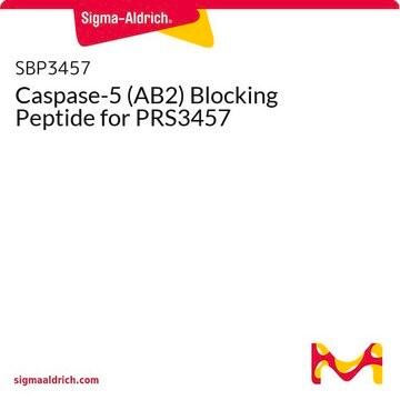 Caspase-5 (AB2) Blocking Peptide for PRS3457