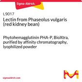 来自 菜豆的凝集素 （红芸豆） BioXtra, Phytohemagglutinin PHA-P, purified by affinity chromatography, lyophilized powder