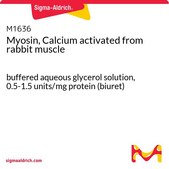 Myosin, Calcium activated from rabbit muscle buffered aqueous glycerol solution, 0.5-1.5 units/mg protein (biuret)
