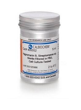 Hygromycin B, Streptomyces sp., Sterile-Filtered Solution in PBS, Cell Culture-Tested Hygromycin B is an aminoglycoside antibiotic that inhibits the growth of prokaryotic and eukaryotic microorganisms and mammalian cells. Inhibits protein synthesis by interfering with the translocation of the 70S ribosome and causes misreading of mRNA.