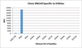 Anti-Acetyl-Histone H3 (Lys4) antibody, Rabbit monoclonal recombinant, expressed in HEK 293 cells, clone RM149, purified immunoglobulin
