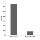 Anti-phospho-GATA1 (pSer142) antibody produced in rabbit affinity isolated antibody