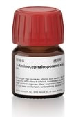 7-Aminocephalosporanic acid 98%