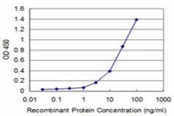 Monoclonal Anti-AATK antibody produced in mouse clone 2C8, purified immunoglobulin, buffered aqueous solution