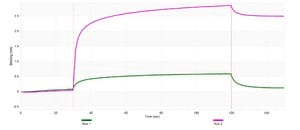 Anti-SUCNR1/GPR91 Antibody, clone 1N21 ZooMAb® Rabbit Monoclonal recombinant, expressed in HEK 293 cells