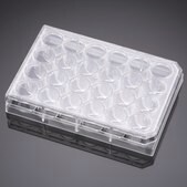 Corning® Primaria Cell Culture Plate size 24 well