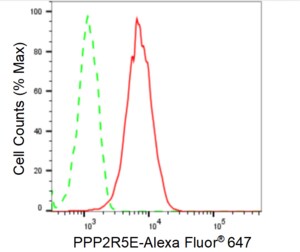 KD-Validated Anti PPP2R5E Antibody, clone 24GB1215, Rabbit Monoclonal clone 24GB1215, recombinant rabbit monoclonal, expressed in HEK293 cells