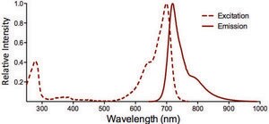 Monoclonal Anti-PP5-Atto 700 antibody produced in mouse clone 2E11