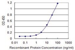 Monoclonal Anti-RGL1 antibody produced in mouse clone 3E10, purified immunoglobulin, buffered aqueous solution