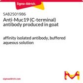 Anti-Muc19 (C-terminal) antibody produced in goat affinity isolated antibody, buffered aqueous solution