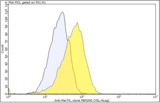 Anti-MerTK Antibody