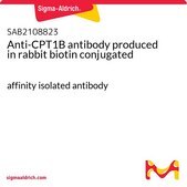 Anti-CPT1B antibody produced in rabbit biotin conjugated affinity isolated antibody
