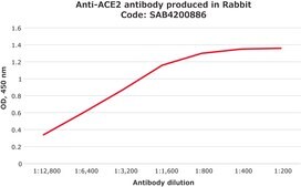 Anti-ACE2 antibody produced in rabbit affinity isolated antibody, buffered aqueous solution