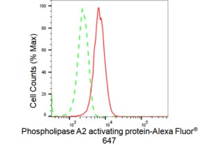 KD-Validated Anti Phospholipase A2 activating protein Antibody, clone 23GB2560, Rabbit Monoclonal clone 23GB2560, recombinant rabbit monoclonal, expressed in HEK293 cells