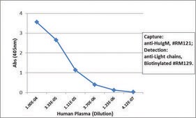 Anti-Human IgM antibody, Rabbit monoclonal recombinant, expressed in HEK 293 cells, clone RM121, purified immunoglobulin