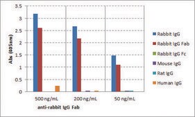 Anti-Rabbit IgG Fab antibody, Goat monoclonal recombinant, expressed in HEK 293 cells, clone RMG01, purified immunoglobulin