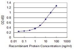 Monoclonal Anti-HIST1H4H antibody produced in mouse clone 6D4, purified immunoglobulin, buffered aqueous solution