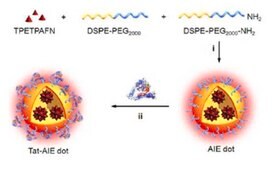 LuminiCell Tracker NIR- Cell Labeling Kit