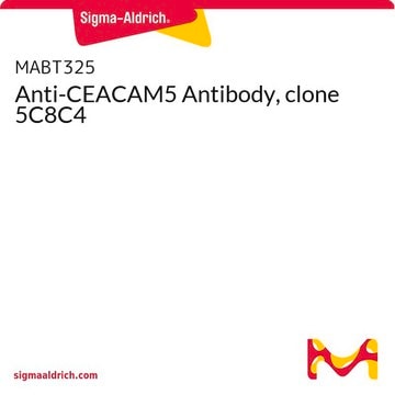 Anti-CEACAM5 Antibody, clone 5C8C4