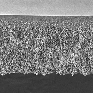 Regenerated Cellulose Membrane Filter, 1 kDa NMWCO Ultracel&#174;, filter diam. 63.5&#160;mm