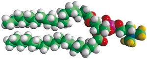 18:0 PC-d9 Avanti Research&#8482; - A Croda Brand 860362P, powder