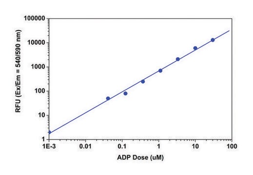 Universal Fluorometric Kinase Assay Kit sufficient for 250 fluorometric tests
