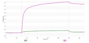 Anti-KLRB1A Antibody, clone 2B12 ZooMAb® Rabbit Monoclonal recombinant, expressed in HEK 293 cells