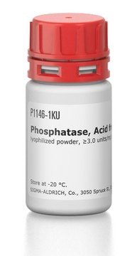 Phosphatase, Acid from potato lyophilized powder, &#8805;3.0&#160;units/mg solid
