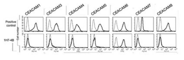 Anti-CEACAM6 Antibody, clone 1H7-4B clone 1H7-4B, from mouse