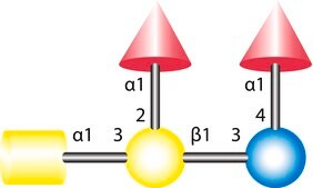 iso-A-Pentasaccharide from human urine, ≥90%