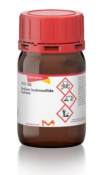 Sodium hydrosulfide 207683-19-0