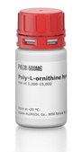 Poly-L-ornithine hydrobromide mol wt 5,000-15,000