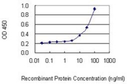 Monoclonal Anti-CEP55 antibody produced in mouse clone 6B1, purified immunoglobulin, buffered aqueous solution
