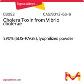 霍乱毒素 来源于霍乱弧菌 ≥90% (SDS-PAGE), lyophilized powder