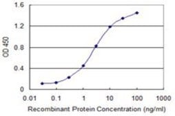 Monoclonal Anti-CHURC1 antibody produced in mouse clone 2F9, purified immunoglobulin, buffered aqueous solution