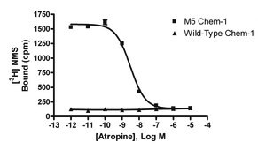 ChemiScreen Membrane Preparation Recombinant Human M5 Muscarinic Acetylcholine Receptor Human M5 GPCR membrane preparation for Radioligand binding Assays &amp; GTP&#947;S binding.