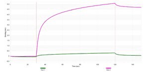 Anti-pan-Amylase Antibody, clone 3K13 ZooMAb® Rabbit Monoclonal recombinant, expressed in HEK 293 cells
