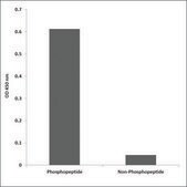 抗磷酸化PI3-激酶p85-&#945;（pTyr607） 兔抗 affinity isolated antibody