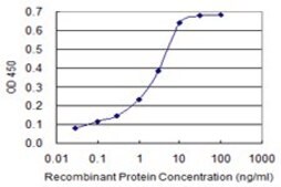 Monoclonal Anti-IL1B antibody produced in mouse clone 2E8, purified immunoglobulin, buffered aqueous solution
