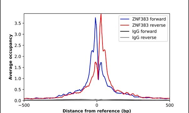 Anti-ZNF383 antibody produced in rabbit Prestige Antibodies&#174; Powered by Atlas Antibodies, affinity isolated antibody, buffered aqueous glycerol solution