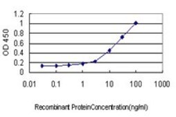 Monoclonal Anti-SCYE1 antibody produced in mouse clone M1, purified immunoglobulin, buffered aqueous solution