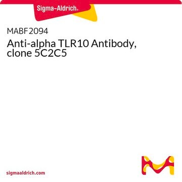Anti-alpha TLR10 Antibody, clone 5C2C5