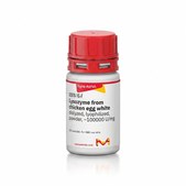 Lysozyme 来源于鸡蛋白 dialyzed, lyophilized, powder, ~100000 U/mg
