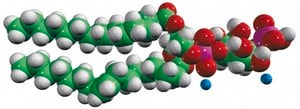 16:0-18:1 PI(4)P Avanti Research&#8482; - A Croda Brand 850157P, powder