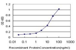 Monoclonal Anti-HOXC12 antibody produced in mouse clone 2E9, purified immunoglobulin, buffered aqueous solution