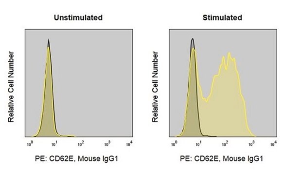 Anti-Human E-Selectin/CD62E (HAE-1f) ColorWheel&#174; Dye-Ready mAb for use with ColorWheel&#174; Dyes (Required, (Sold Separately))