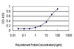 Monoclonal Anti-C16orf9 antibody produced in mouse clone 3D2, purified immunoglobulin, buffered aqueous solution