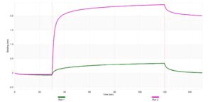 Anti-PSBA Antibody, clone 1J22 ZooMAb® Rabbit Monoclonal recombinant, expressed in HEK 293 cells
